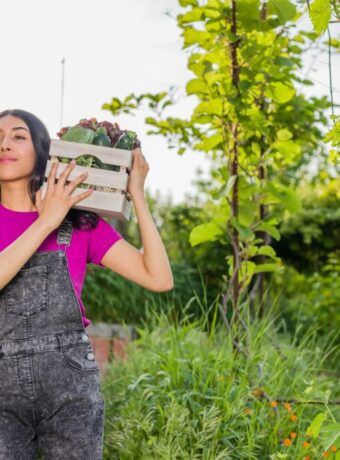 Urban Gardening in Berlin: die grüne Revolution in der Großstadt